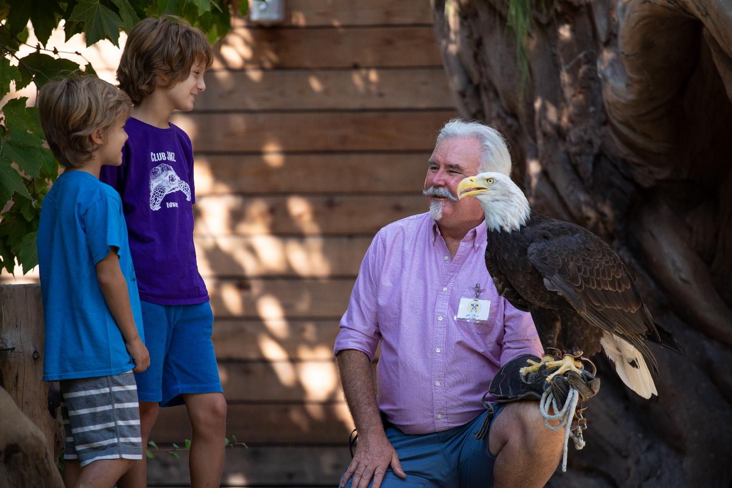 Two kids stand next to a JMZ Volunteer who holds Sequoia, a bald eagle