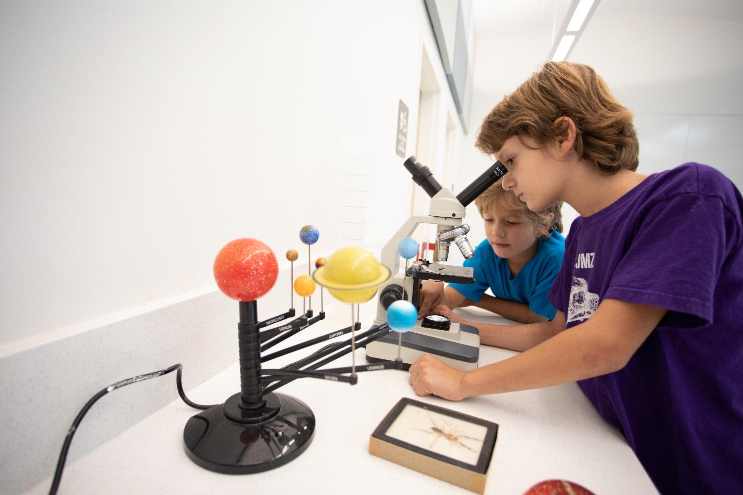 Two children look into a microscope to examine an insect specimen