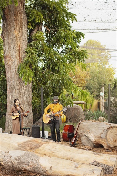 Live Music in the Zoo
