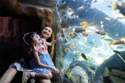 Girl walking on treehouse with father following behind her