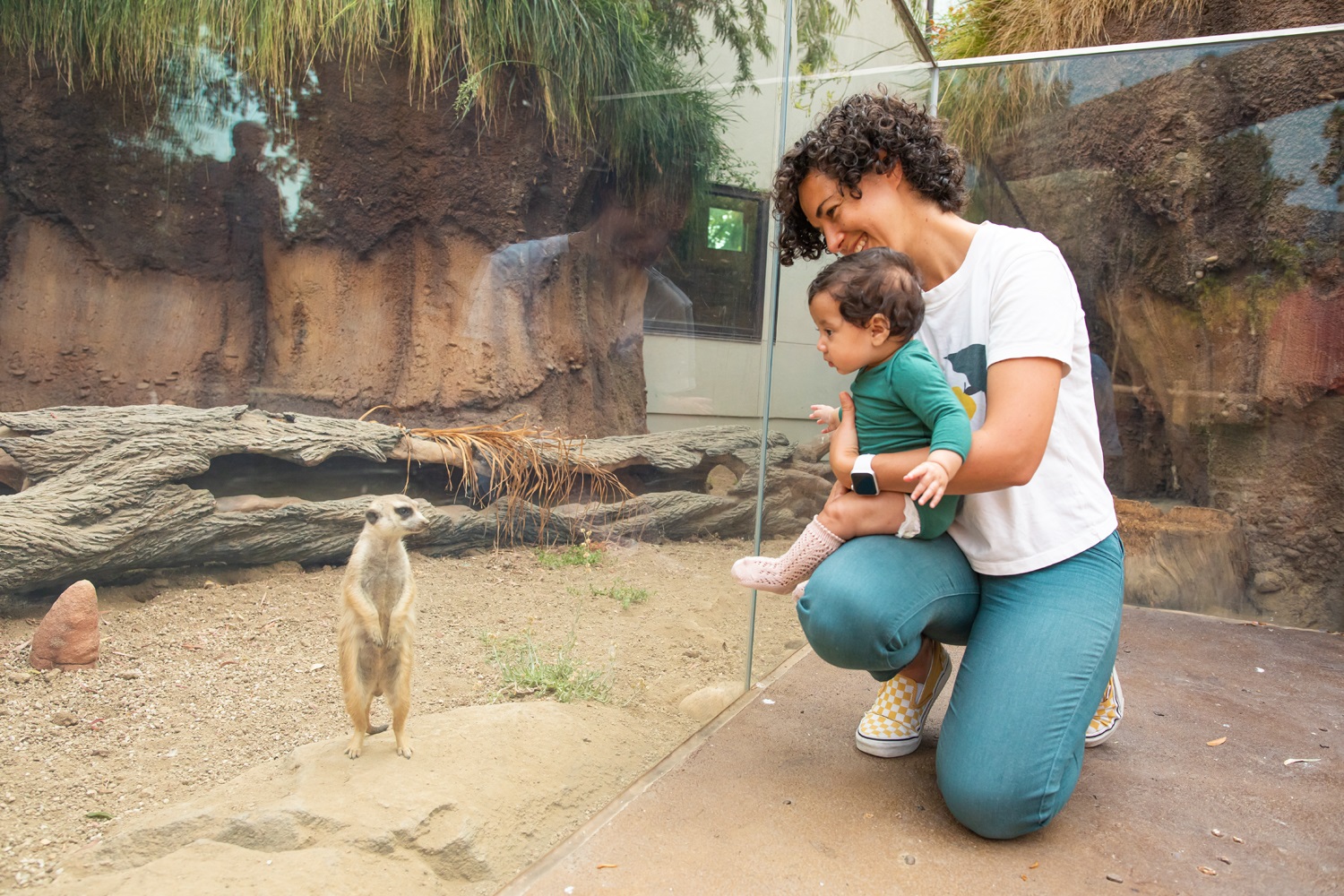 A mom kneels in front of the Meerkat exhibit holding her baby, who makes eye contact with an excited Meerkat