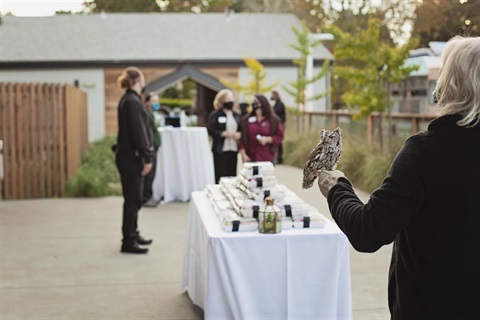 Special Event at JMZ